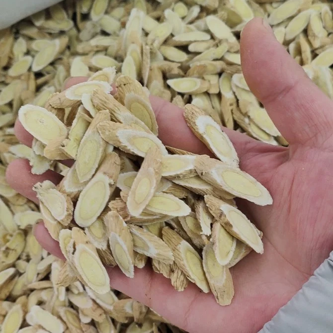 黄芪正宗甘肃中大片精选黄芪切片可泡水泡茶煲汤道地选材