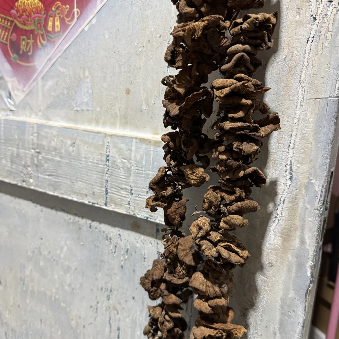 建昌自采榛蘑菇干蘑菇