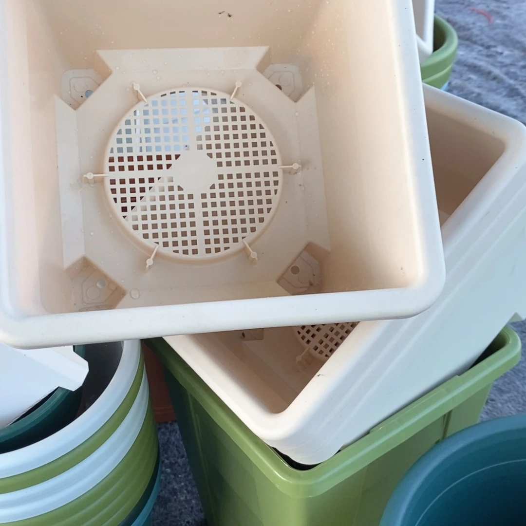 树脂4个米色球根方带托