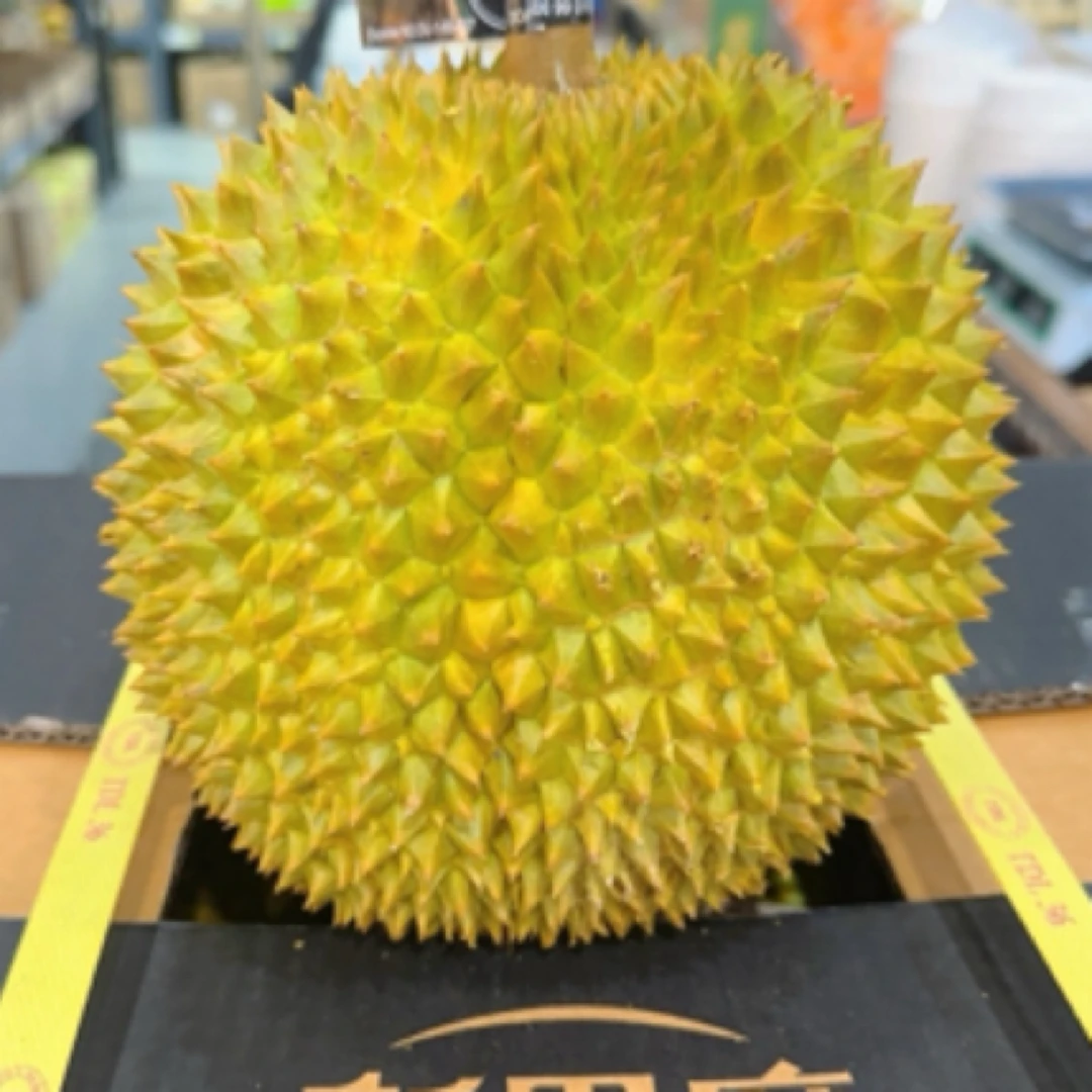 金枕鲜榴莲4左右一个（核小）一果一重金枕泰国