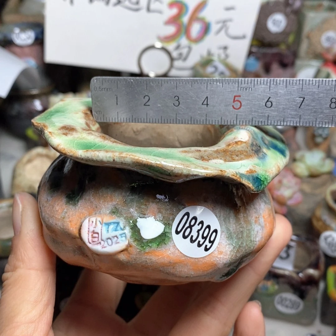 花盆拍2送一个小礼物