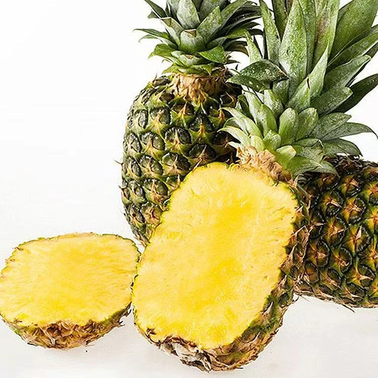 3颗【菲律宾凤梨】9分甜1分酸带香凤梨，鲜果整果，单颗1.8斤左右金钻凤梨菲律宾共和国