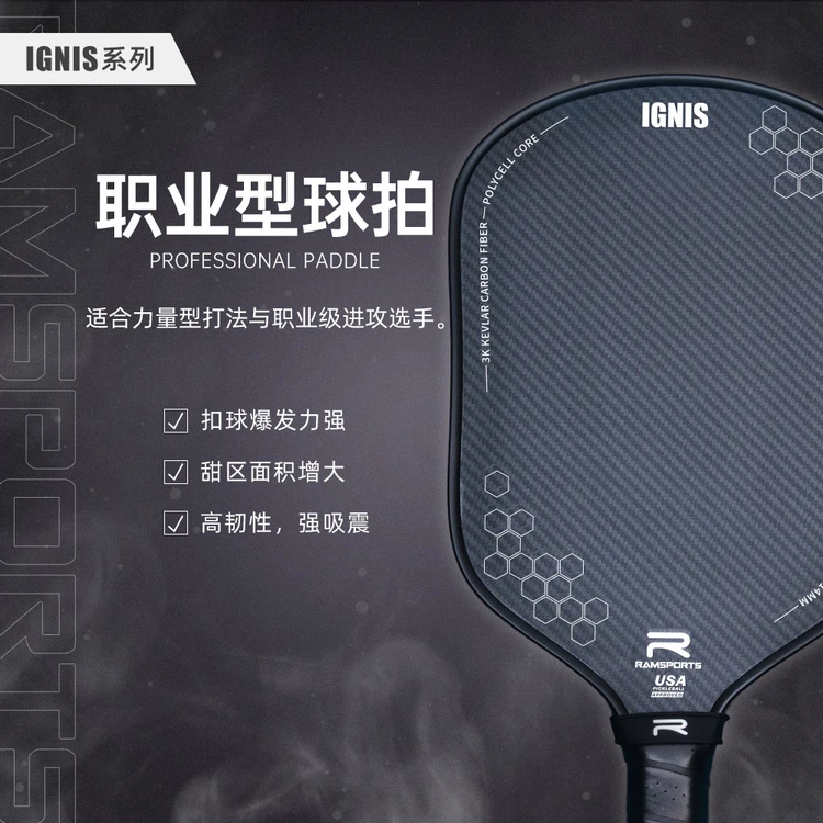 兰斯博IGNIS系列（白标）黑色匹克球拍