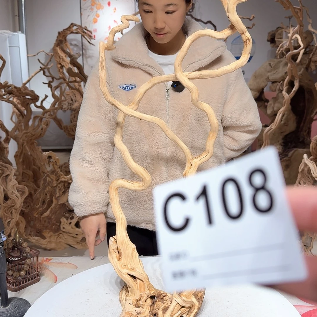 风车木（黑檀木）汇*