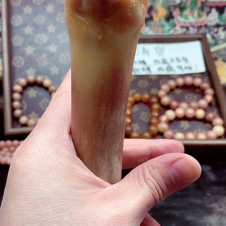 驼骨手串/手链2+3