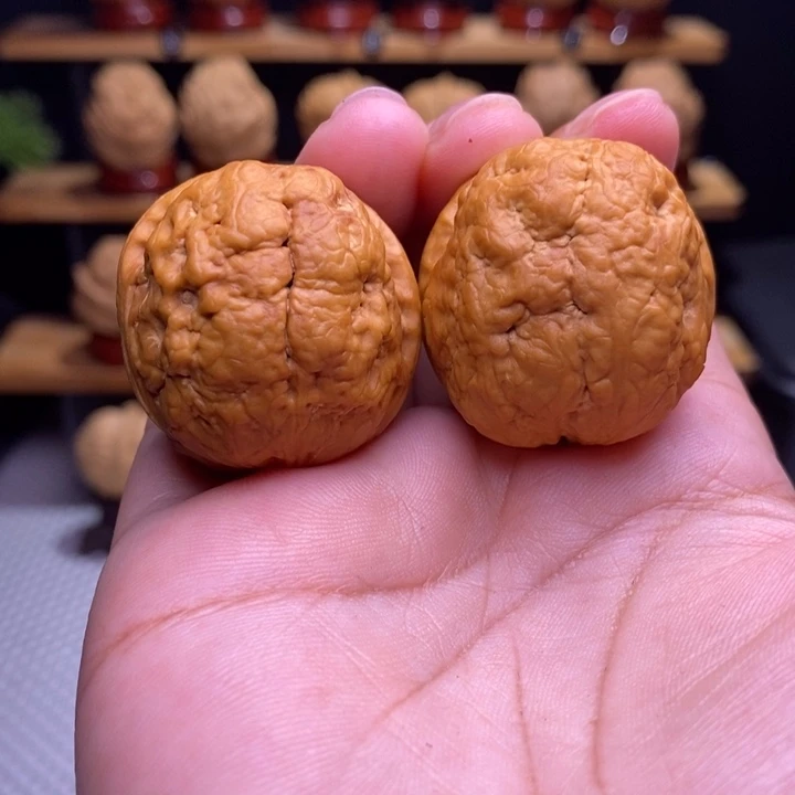 木质类云铁肌肉达摩53号