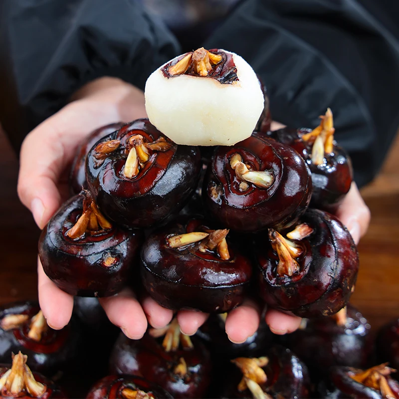 新鲜现挖现发带泥马蹄果荸荠地梨应季脆甜多汁当季水果可煲汤即食