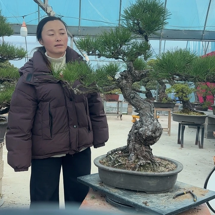 唐***具无花朵25678765444