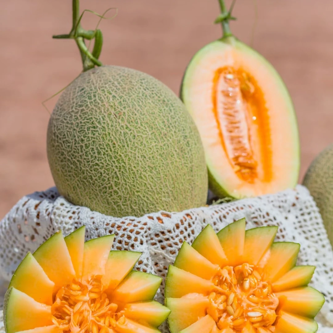 （凑满58包邮）脆甜口哈密瓜一颗