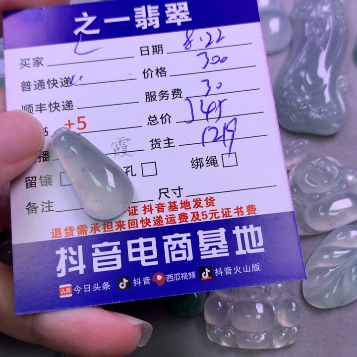 颈饰未镶嵌翡翠L*