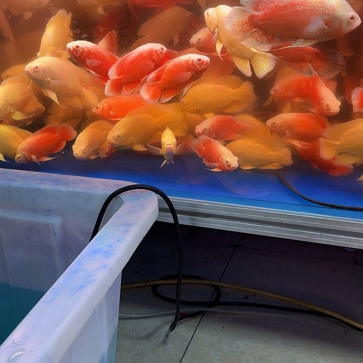 用***6海水啊啊啊啊啊啊啊啊啊