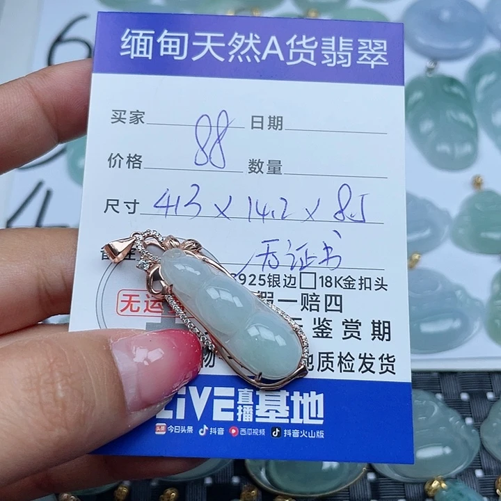 翡翠颈饰银S925镶嵌翡翠