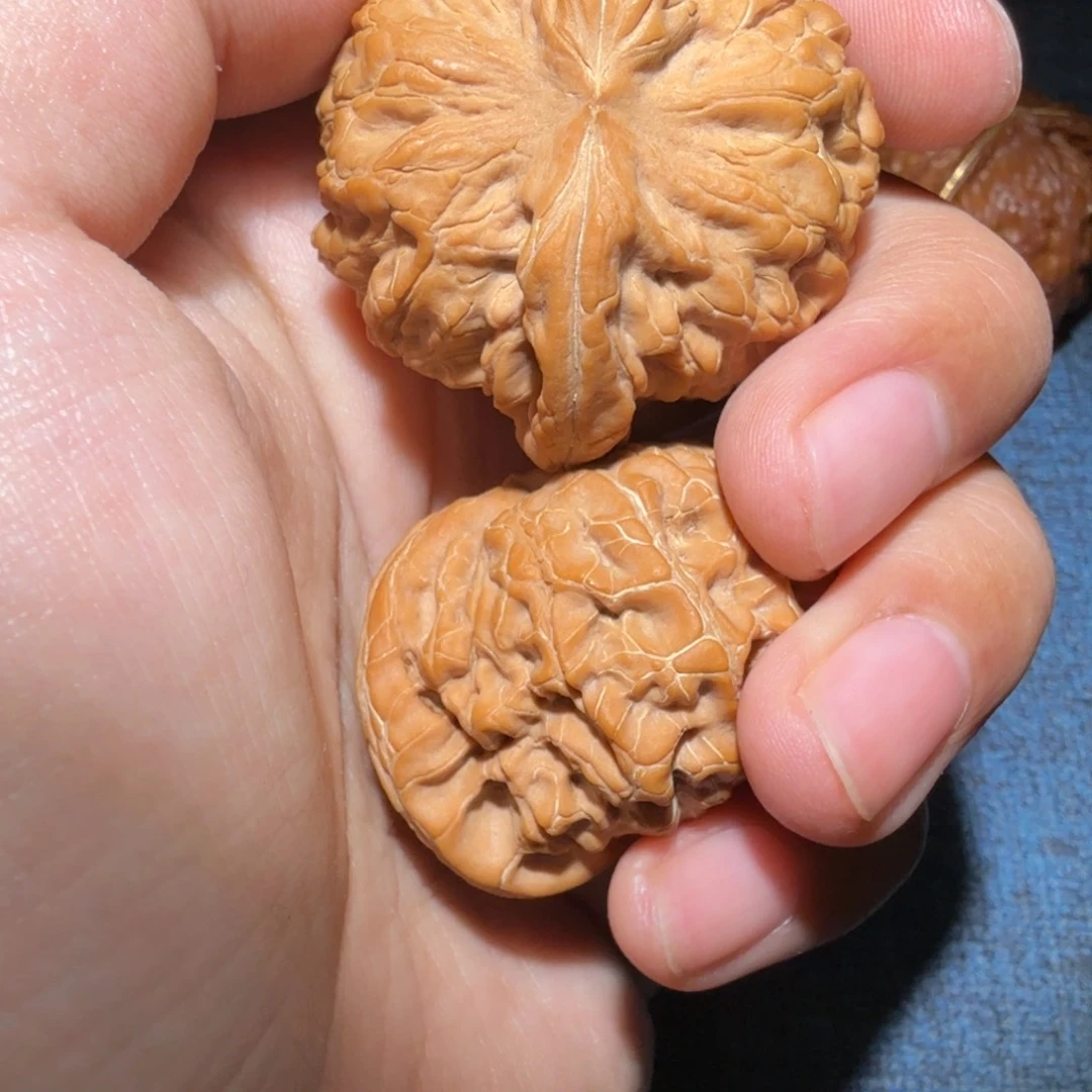 文玩核桃把件新*阳核王43尺寸1374