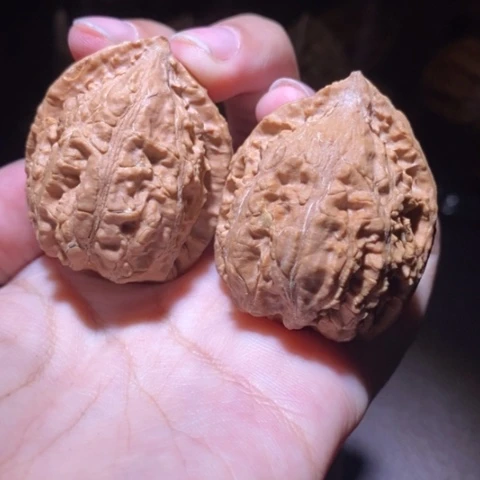 把件文玩核桃东北野生楸子小园 251
