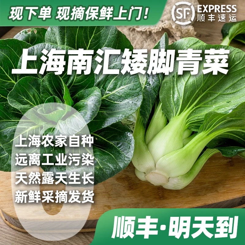 【下单·明天到】上海南汇本地矮脚小青菜 上海青菜苔农家绿叶清甜当季蔬菜 露天种植顺丰包邮现摘现发！上海青