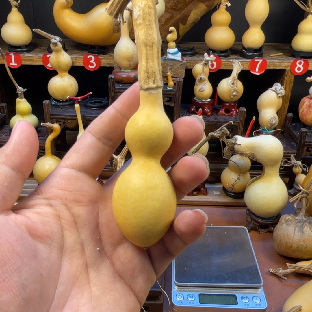 j***a葫芦葫芦和他妈妈