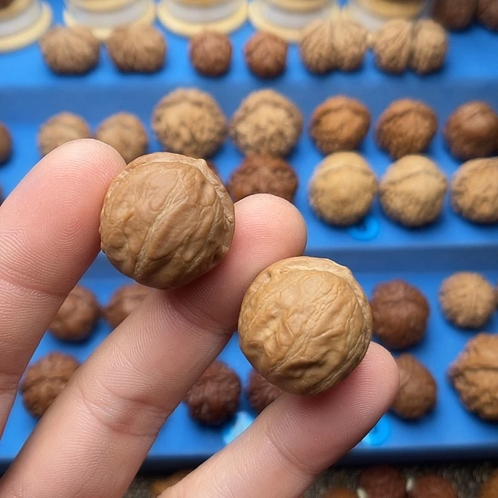 文玩核桃把件胖头陀小号