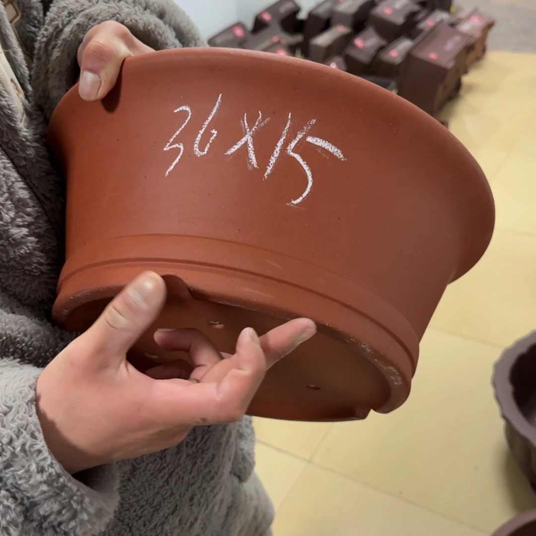 紫砂花盆呜呜呜呜