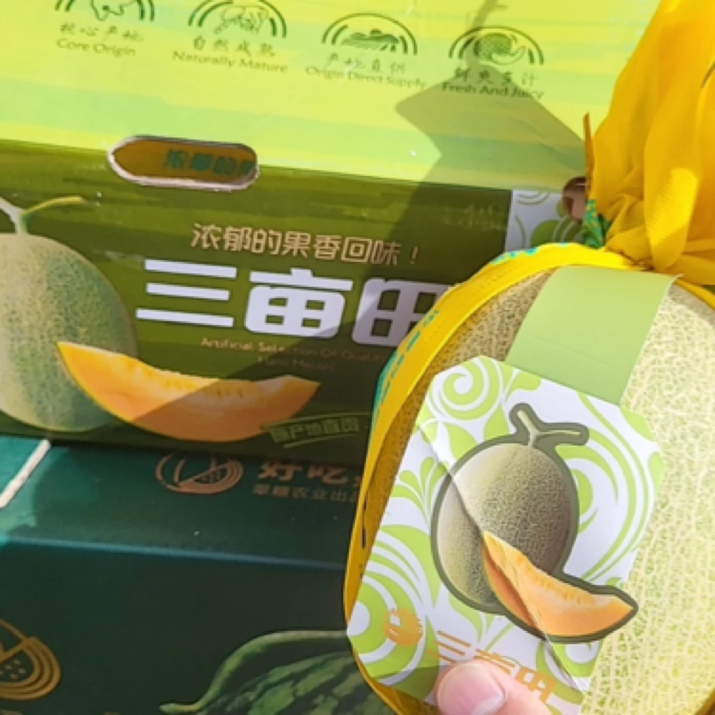 三亩田海南哈密瓜鲜切约500g