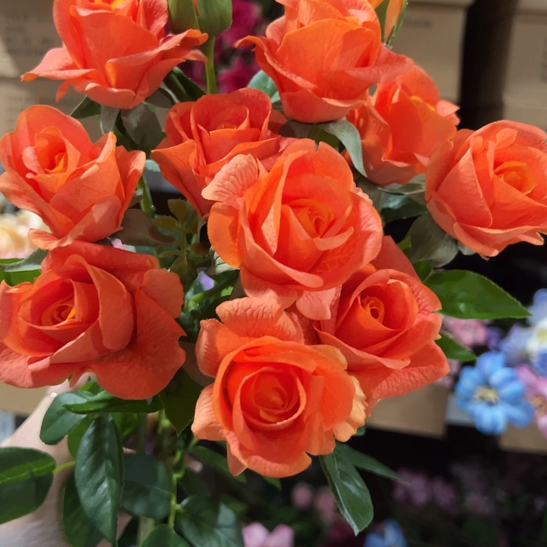 2枝橙色手感芭比玫瑰