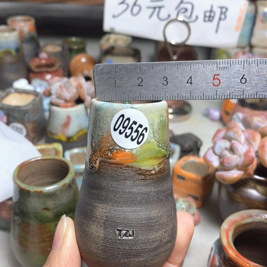 拍5送一个小礼物