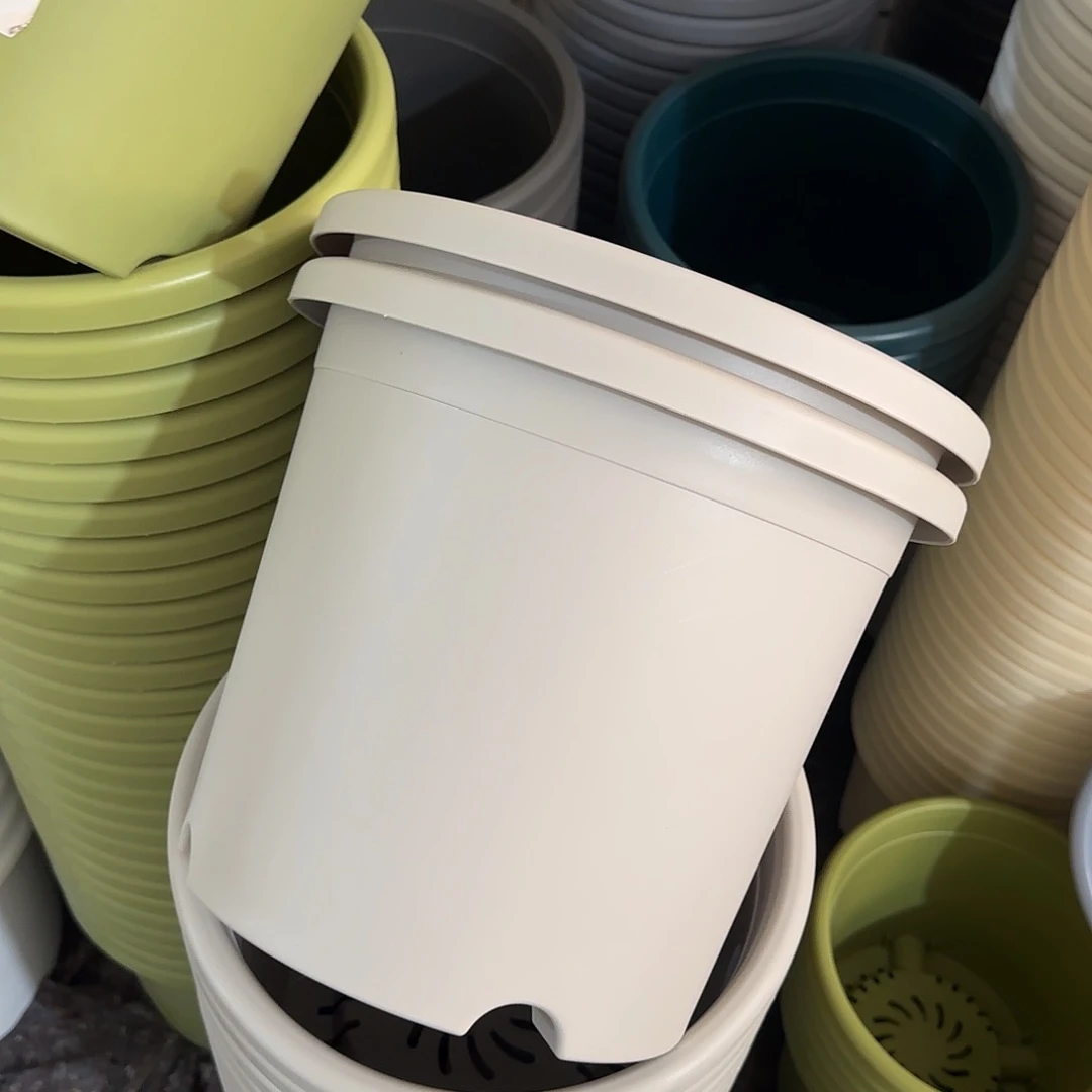 微瑕5号无托6个，灰白