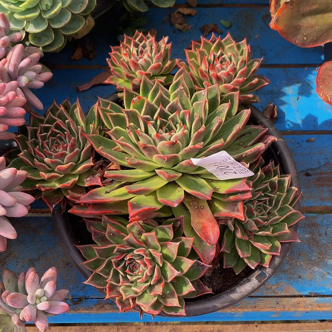 雨***漫不知名27013。