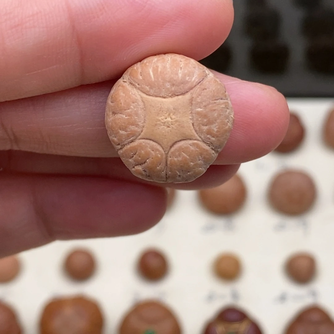 吊坠凤眼菩提五星