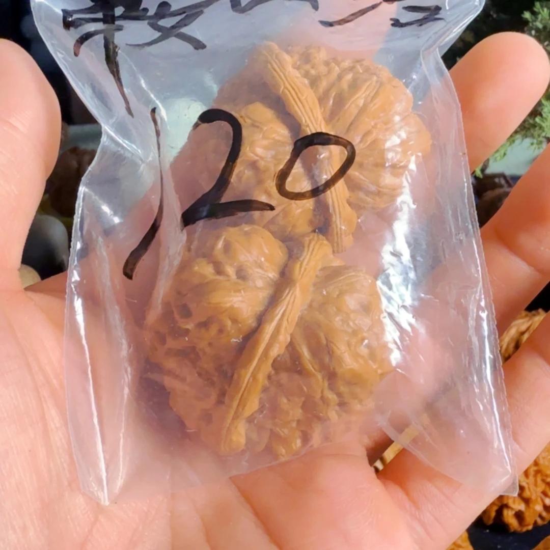 鞍***）大叶紫檀（黑酸枝木类）