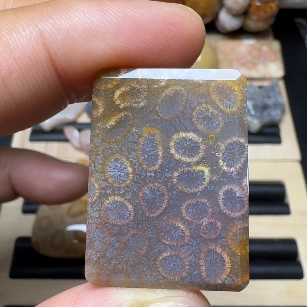 未镶嵌纯天然色有机玉石保真色硅化玉