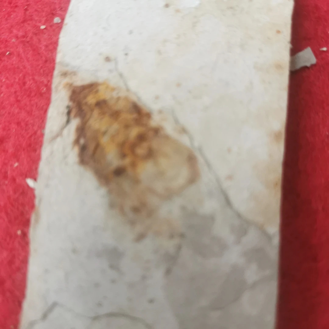 家居摆件科普送礼教学家居装饰