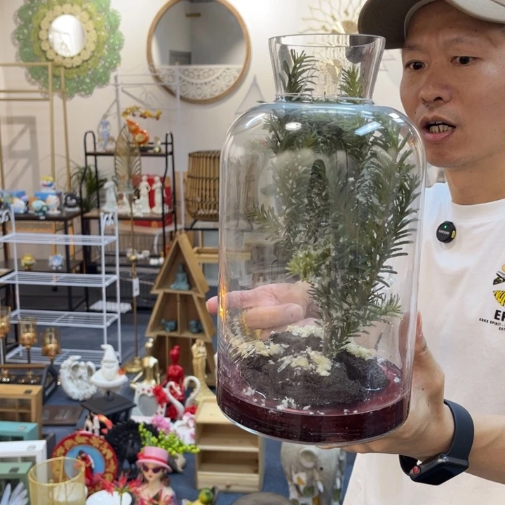 瓷片哈哈哈哈哈哈哈哈哈哈