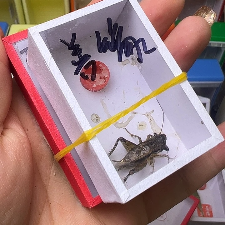 善***…哈哈哈哈哈哈哈哈哈哈哈