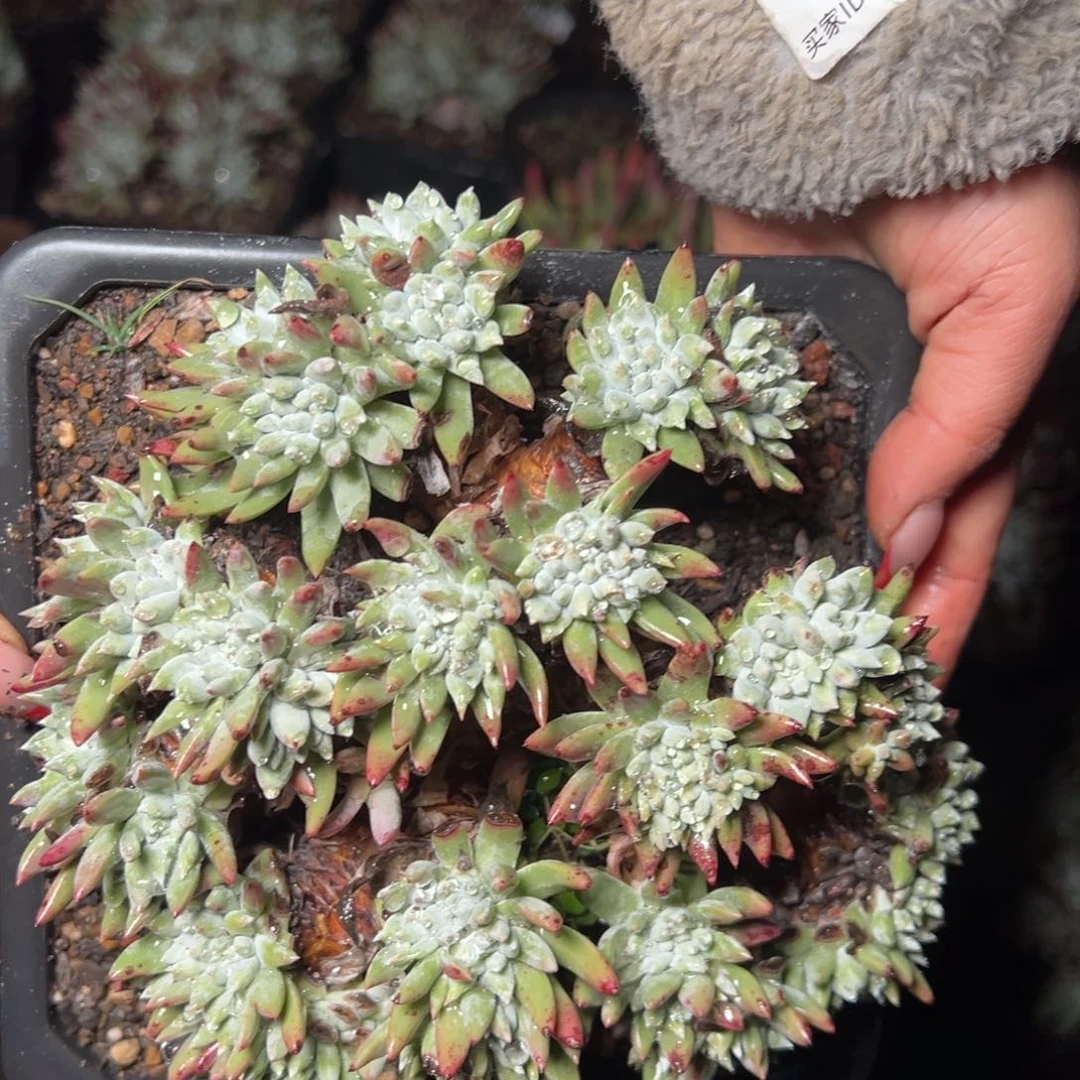 505哈哈哈哈哈哈哈哈