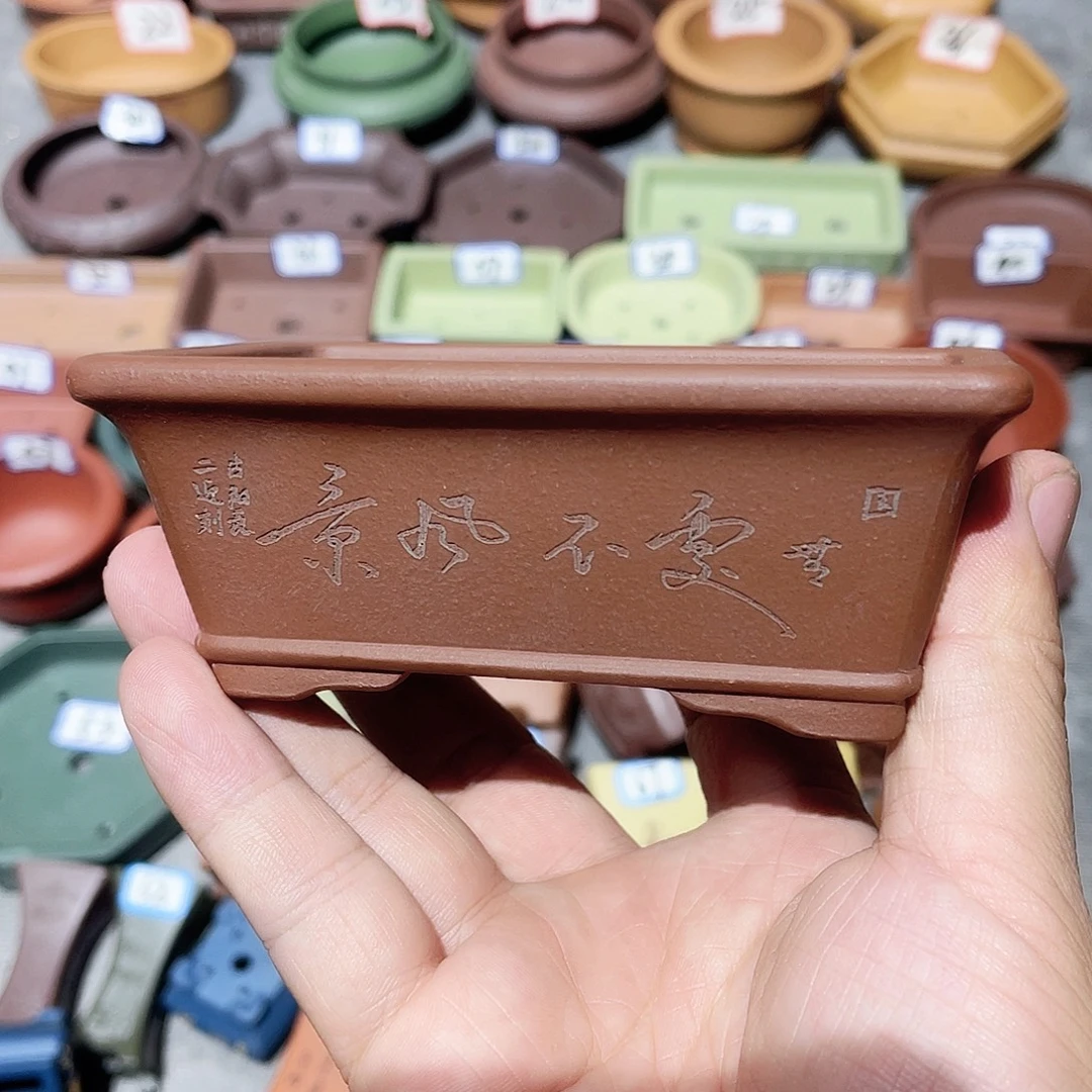 紫砂小盆10*6.5*3.5