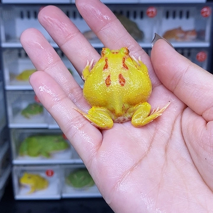 特价秒杀现货特价