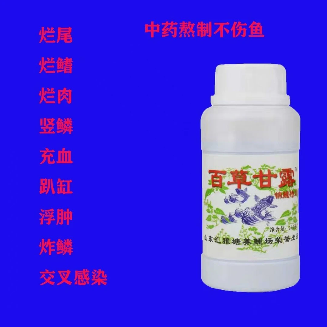 【合池消毒】锦鲤养护应对趴地趴缸细菌交叉感染烂鳍烂尾烂肉等问题