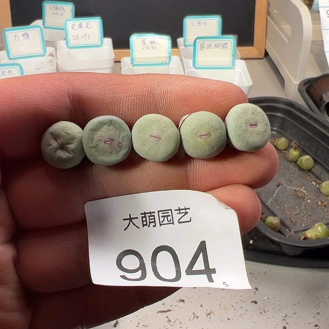 0000904 一物一拍……