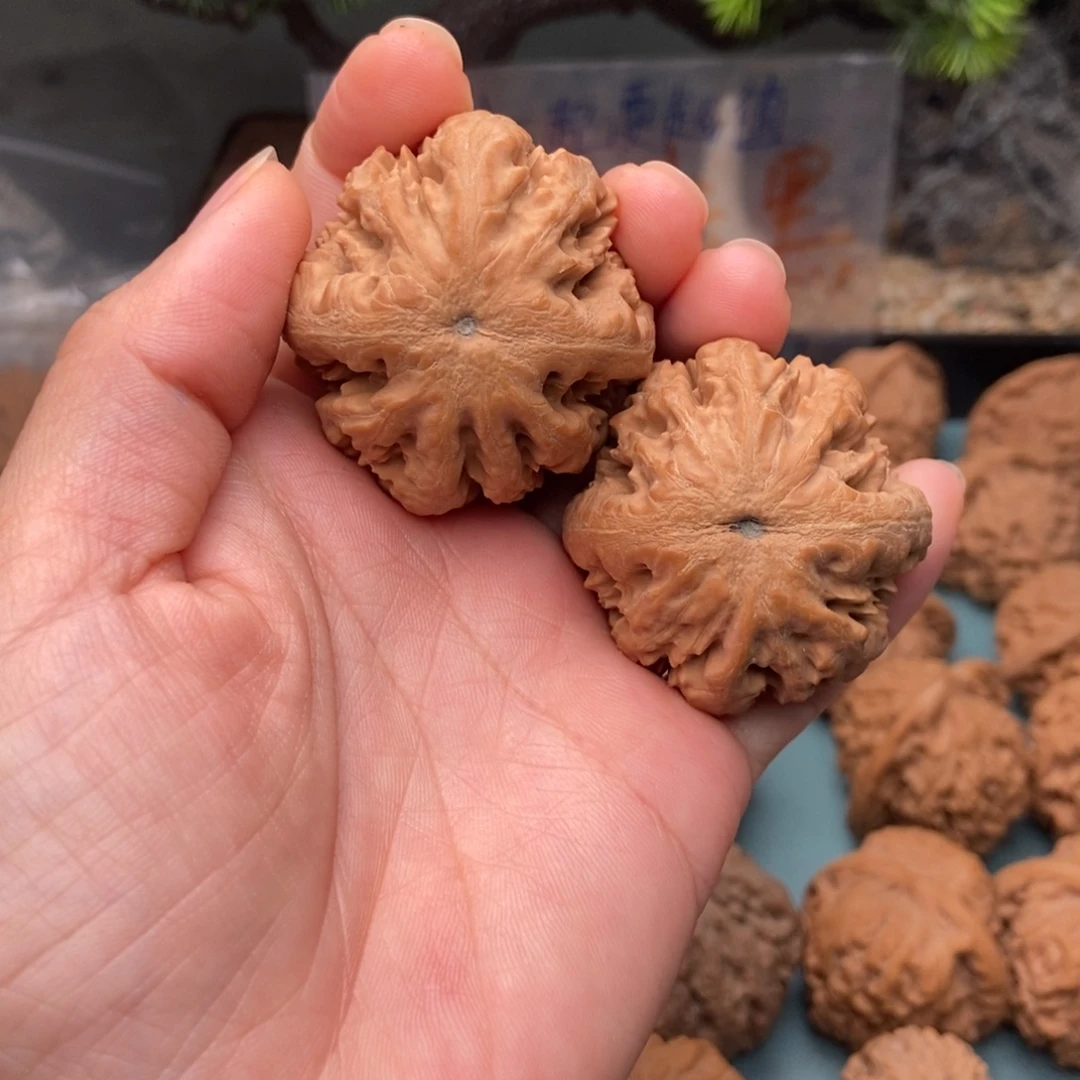 文玩核桃把件霸王龙1