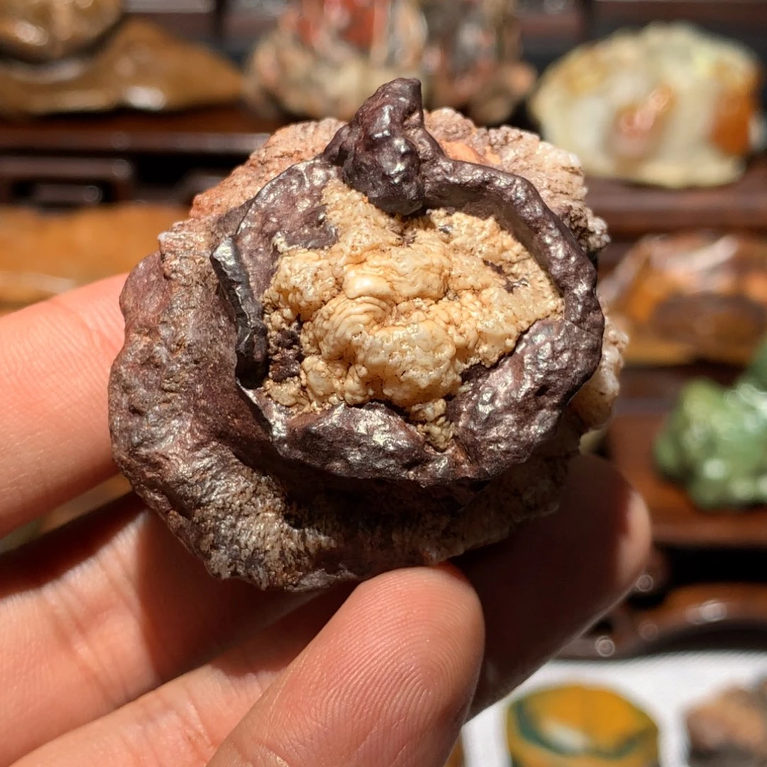石材火山岩沙漠漆的共生
