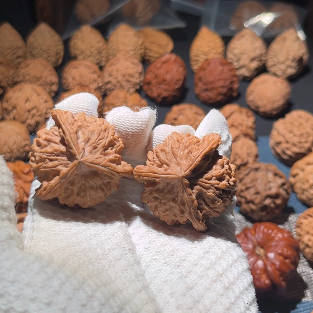 核桃41盘山正奔核桃
