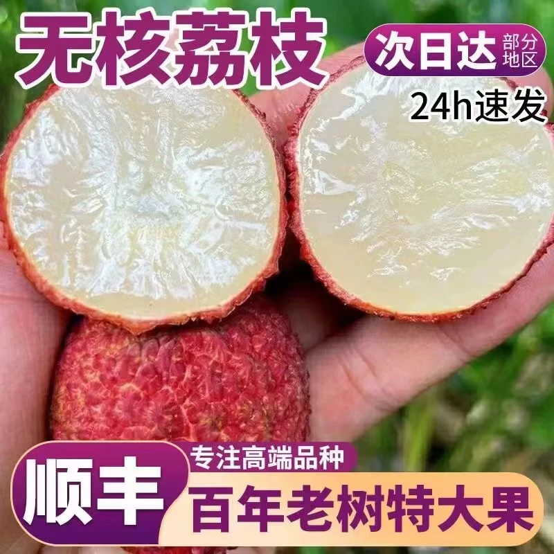 海南火山无核荔枝现摘巨无霸特大超大新鲜大荔枝顺丰精品礼盒装