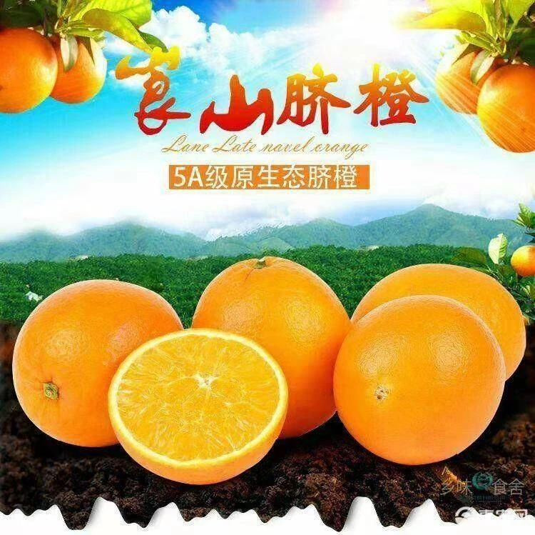 正宗崀山脐橙皮薄肉厚多汁当季新鲜水果（顺丰包邮）廖嫂传媒专属