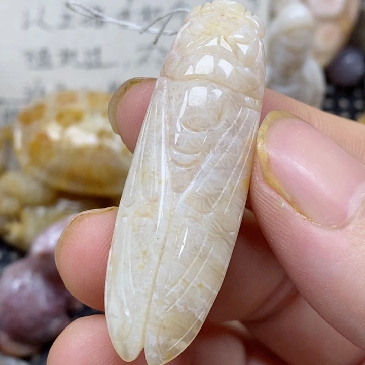 颈饰未镶嵌硅化珊瑚（珊瑚玉）