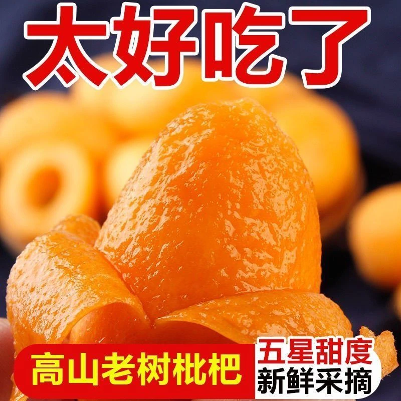 贵州高山顺丰包邮大五星枇杷新鲜现摘薄皮多汁水果