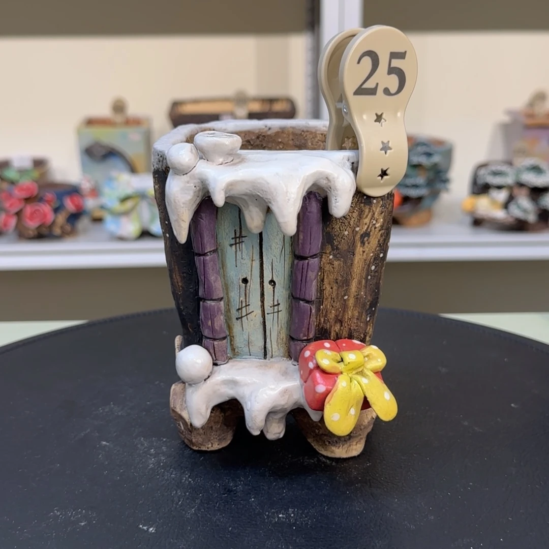 25 【闪购】多肉花盆