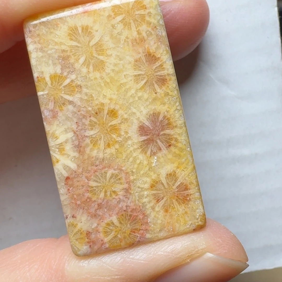 硅化玉爆闪蝴蝶花，可盘未镶嵌