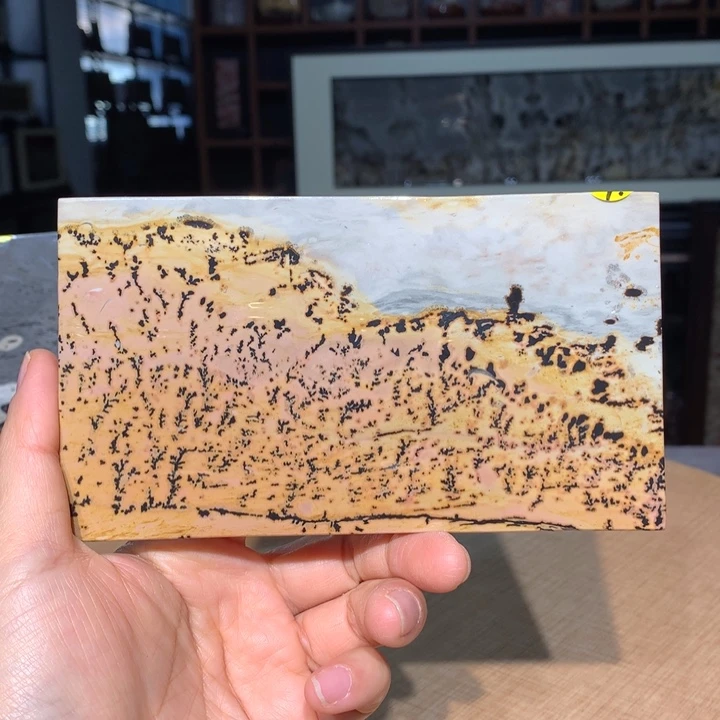 广西国画石摆件，观赏收藏