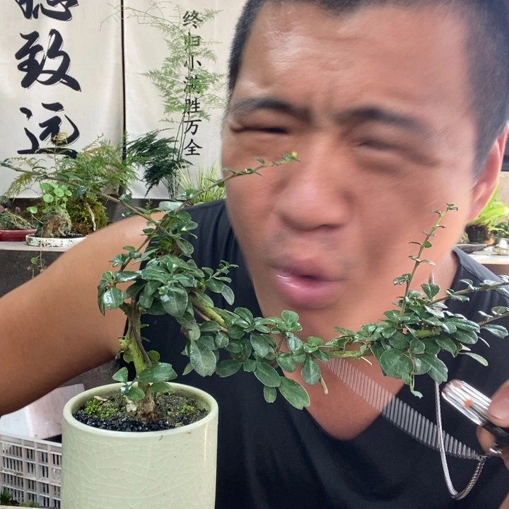 花***艺无花朵退款拉黑拉黑79