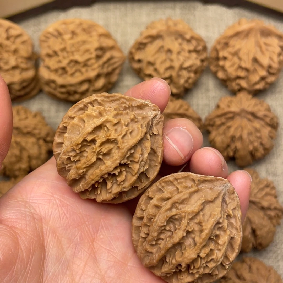 核桃秦岭野生核桃8号